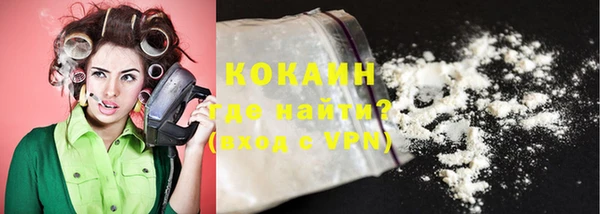 шишки Абаза