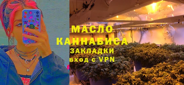 мдпв Ладушкин