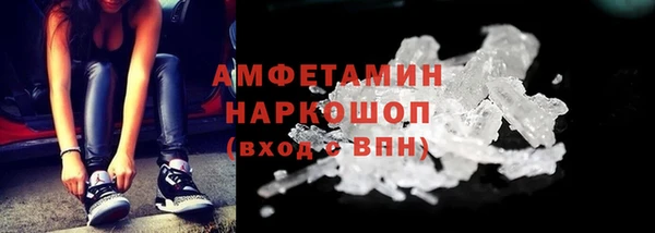 шишки Абаза