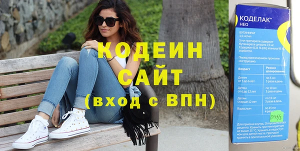 шишки Абаза