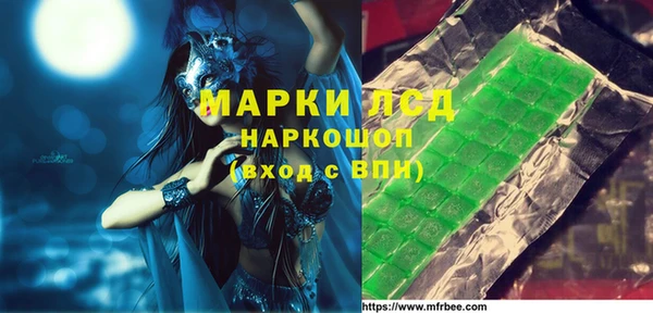 шишки Абаза