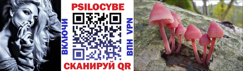 Галлюциногенные грибы Magic Shrooms  shop как зайти  Шлиссельбург 