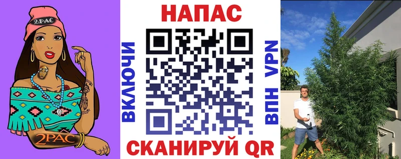 Бошки Шишки Amnesia  Шлиссельбург 